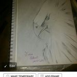 Tina Gilbert - @gilbert9877 - Instagram