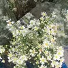 inagoodmood - @inagoodmoody - TikTok