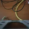 inahampton - @pro.japan31 - TikTok