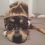 Tina Howard - @tinahowardmi - Instagram