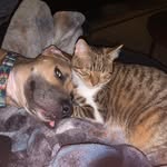 Tina Howard - @tina.howard.982 - Instagram