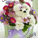Ina Hunt - Facebook
