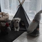 Ina Koch - @ina.koch.1042 - Instagram
