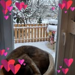 Ina Manning - Facebook