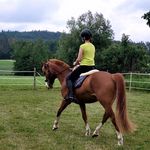 TinaMayerReitausbildung - @tina_mayer_reitausbildung - Instagram