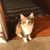 inamiller33 - @country.girl2961 - TikTok
