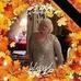 Ina Murphy - Facebook