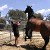 Gina Page - @ginaawildatheartlivelife - TikTok