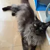 Irina Riley - @irina.riley - TikTok