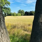 Ina Ritter - @inaritter36 - Instagram