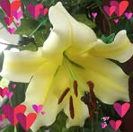 Ina Ritter - Facebook