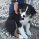 Roark McClure - @roark_original - Instagram