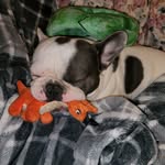 Tina Englehart Roark - @smellbuylove - Instagram