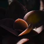 Ina Romanow - @inaromanow - Instagram