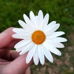 Vivero🧚‍♀️🕉 - @ina.root - Instagram