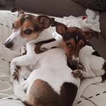 Tina Rosenthal - @art.by.rosenthal - Instagram