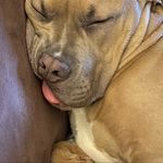 Tina Rosenthal - @tinarosenthal2712 - Instagram
