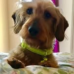Ina Ryan - @inaryan4925 - Instagram