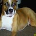 Ina Saunders - Facebook