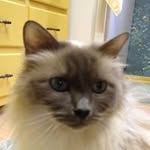 @ina_schilling - Instagram