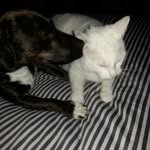Ina Schilling - @schilling_ina - Instagram