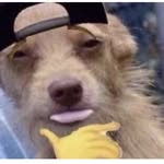 😊🤣spammmm - @two_bros_chilling_ina_hottub - Instagram
