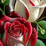 Ina Schmitt - @inaschmitt30 - Instagram
