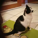 ina schmitt - @inas0342 - Instagram