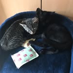 Ina Schmitt - @inaschmitt4 - Instagram