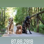 Ina Siegers-Schmitt - @labbilina - Instagram
