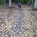Ina Schmitz - Facebook