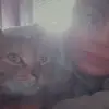 Ina - @inaschreiber2 - TikTok