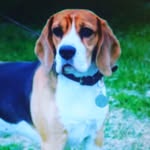ina maria schreiber - @inamariaschreiber - Instagram