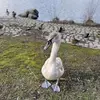 inaschultz08 - @inaschultz08 - TikTok