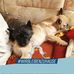 Ina Schuster - Facebook