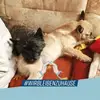 Ina Schuster - @inaschuster0 - TikTok