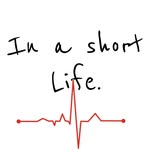 In A Short Life - @inashortlife - Instagram