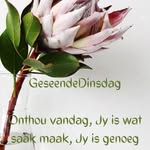Ina Smit - @inatjie_56 - Instagram