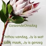 Ina Smit - Facebook