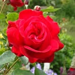 Ina Staats - Facebook