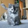 Ralf &ina1 - @inastockhausen - TikTok