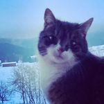 Ina Wagner - @inawagner036 - Instagram