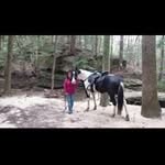 Tina Whitaker - @whitaker9371 - Instagram