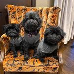 Tina Wilcox - @tinamwilcox - Instagram