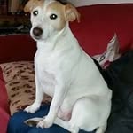 Tina Wilcox - @minniebert21 - Instagram