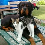 Tina Wilcox - @tina.wilcox.838 - Instagram