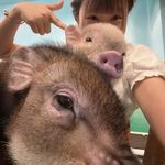 🇹​🇮​🇳​🇦 - @_tina_wong_ - Instagram