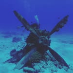 in chul kang - @in_chul_kang - Instagram