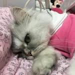 강인철 - @inchulkang0 - Instagram