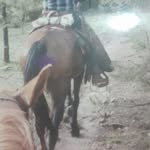 Indalecio Chávez - @panchochavezportillo - Instagram